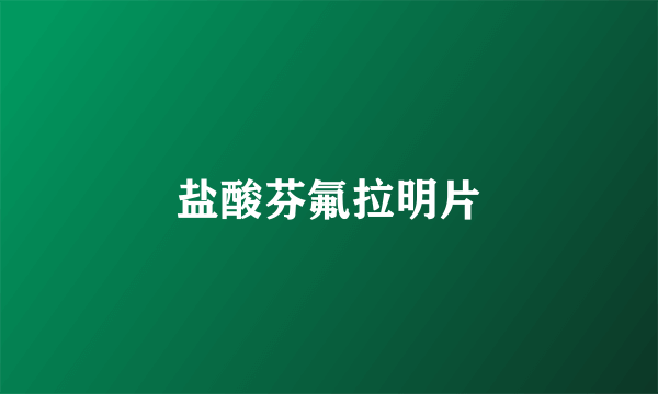 盐酸芬氟拉明片