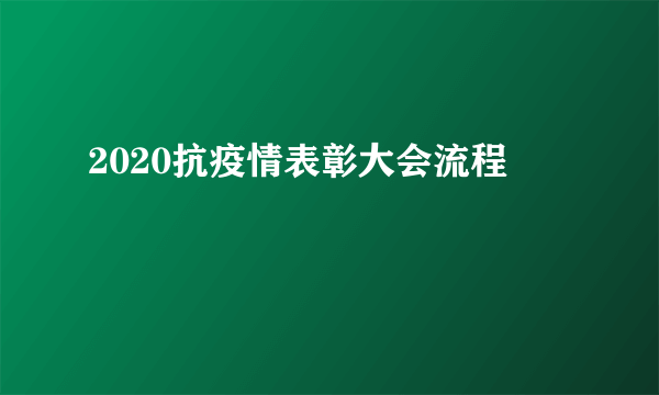 2020抗疫情表彰大会流程