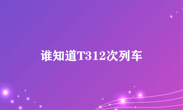 谁知道T312次列车