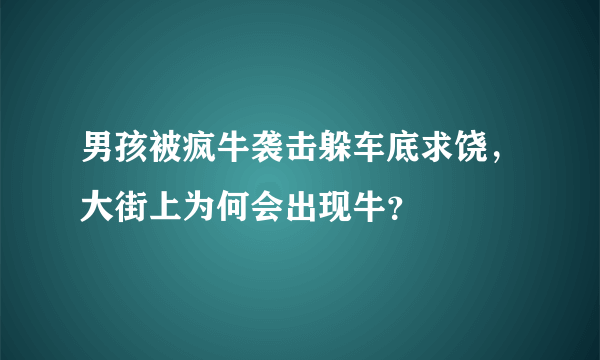 男孩被疯牛袭击躲车底求饶，大街上为何会出现牛？