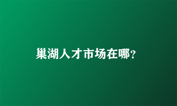 巢湖人才市场在哪？