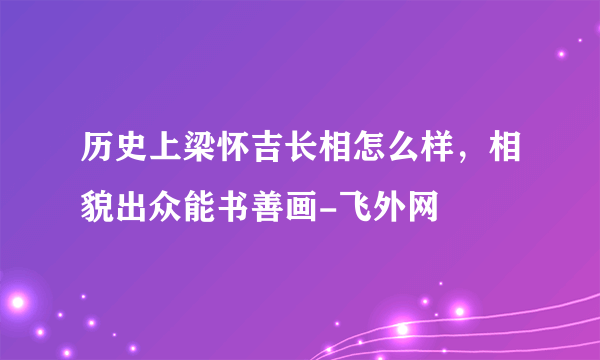 历史上梁怀吉长相怎么样，相貌出众能书善画-飞外网