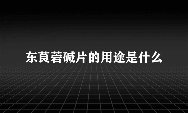 东茛菪碱片的用途是什么