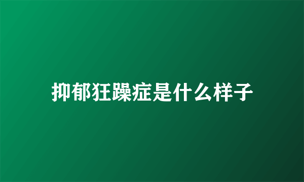 抑郁狂躁症是什么样子