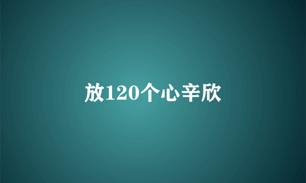 放120个心辛欣
