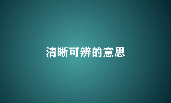 清晰可辨的意思