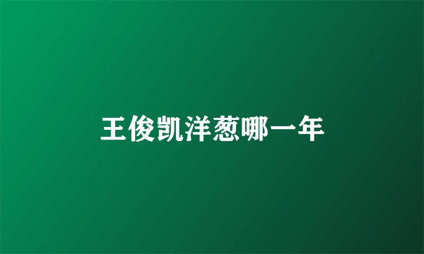 王俊凯洋葱哪一年
