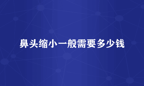 鼻头缩小一般需要多少钱