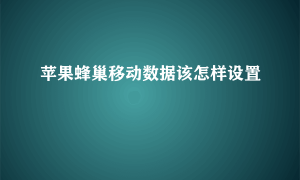 苹果蜂巢移动数据该怎样设置
