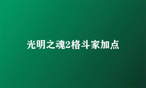 光明之魂2格斗家加点
