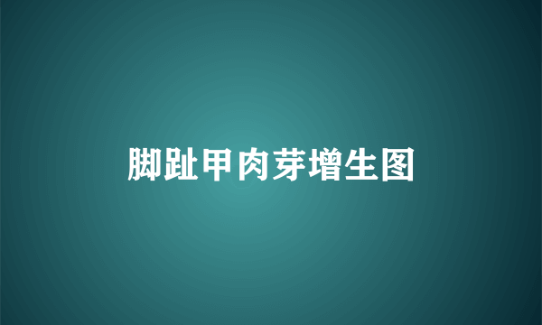 脚趾甲肉芽增生图