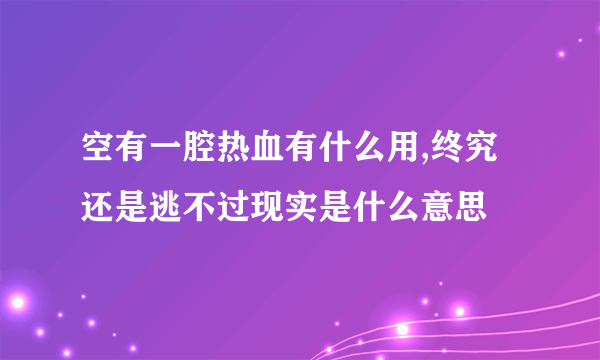 空有一腔热血有什么用,终究还是逃不过现实是什么意思