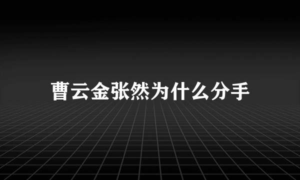 曹云金张然为什么分手