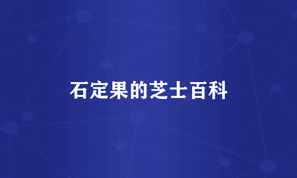 石定果的芝士百科