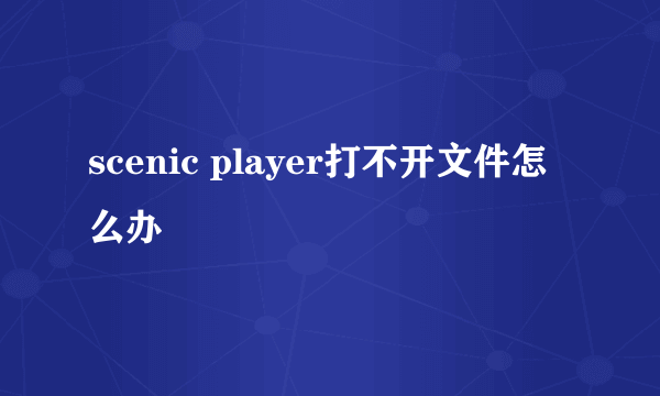 scenic player打不开文件怎么办