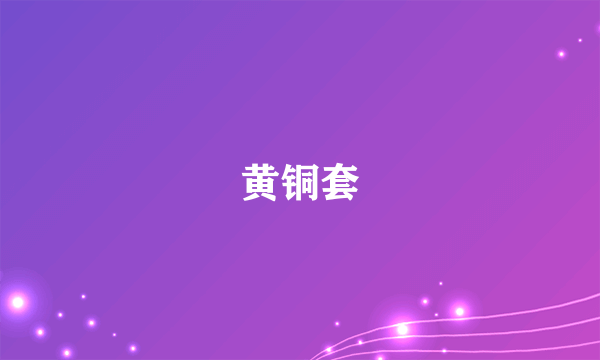 黄铜套