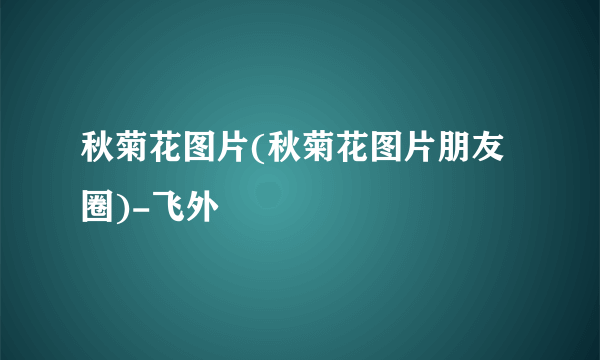 秋菊花图片(秋菊花图片朋友圈)-飞外