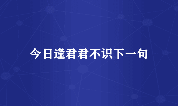 今日逢君君不识下一句