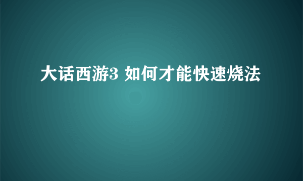 大话西游3 如何才能快速烧法