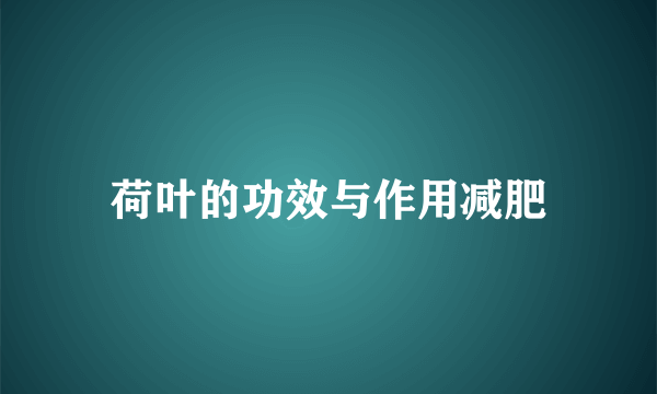 荷叶的功效与作用减肥