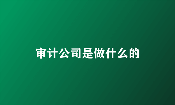 审计公司是做什么的