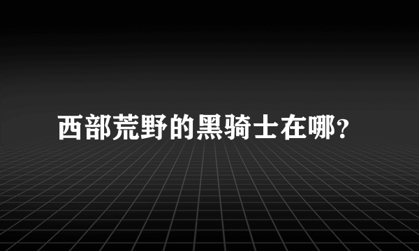 西部荒野的黑骑士在哪？