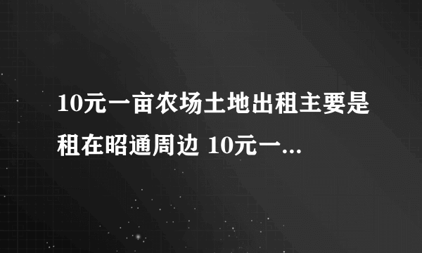 10元一亩农场土地出租主要是租在昭通周边 10元一亩农场土地出租