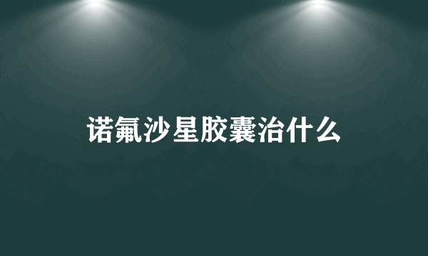 诺氟沙星胶囊治什么