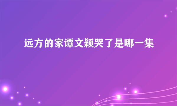 远方的家谭文颖哭了是哪一集
