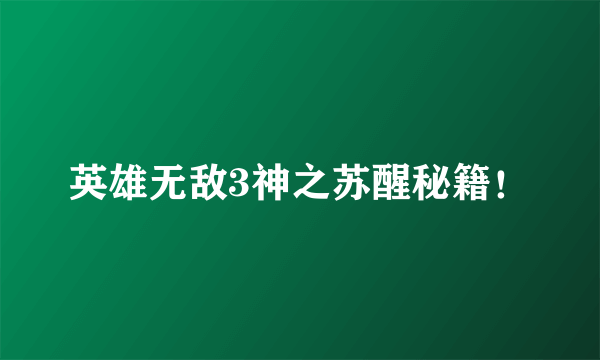 英雄无敌3神之苏醒秘籍！