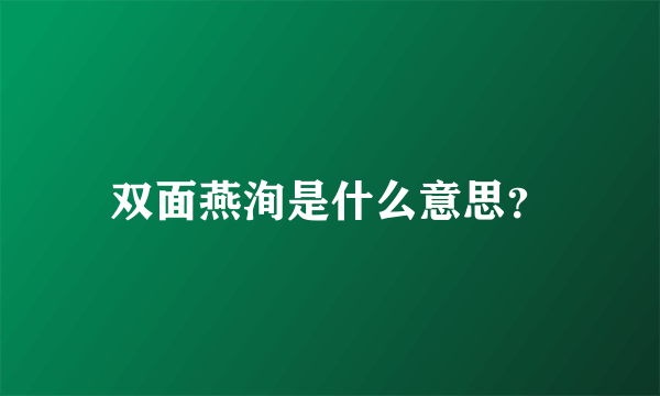 双面燕洵是什么意思？