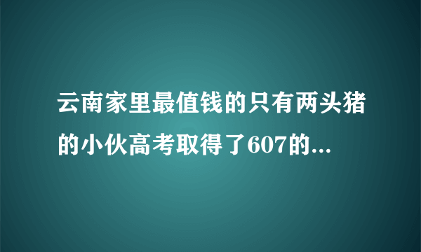 云南家里最值钱的只有两头猪的小伙高考取得了607的高分，对此你有什么评价？
