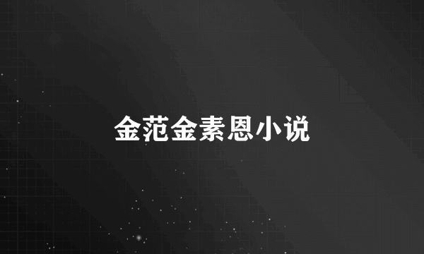 金范金素恩小说