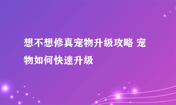 想不想修真宠物升级攻略 宠物如何快速升级