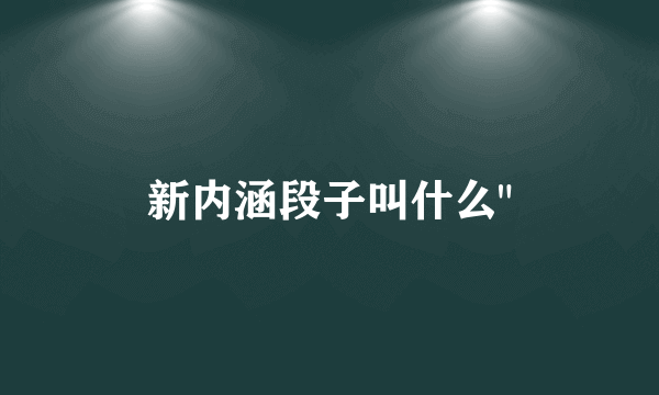 新内涵段子叫什么