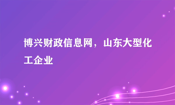 博兴财政信息网，山东大型化工企业