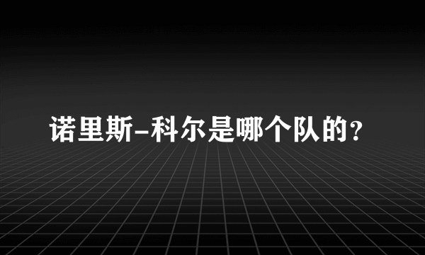 诺里斯-科尔是哪个队的？