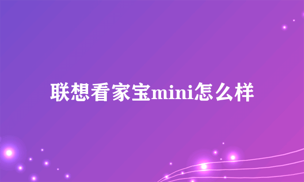 联想看家宝mini怎么样