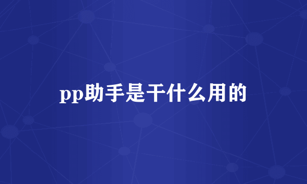 pp助手是干什么用的