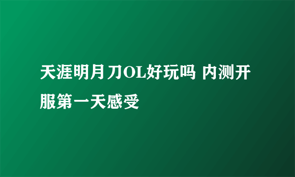 天涯明月刀OL好玩吗 内测开服第一天感受