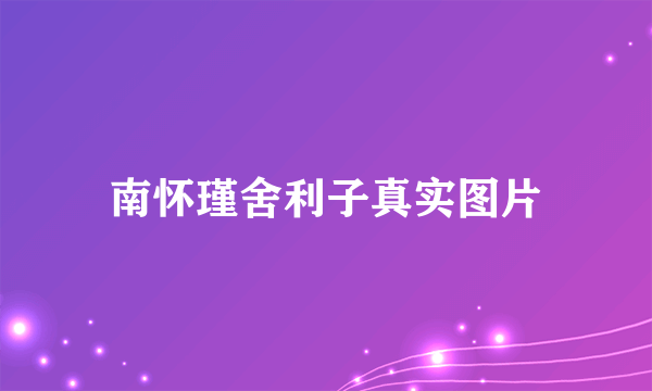 南怀瑾舍利子真实图片