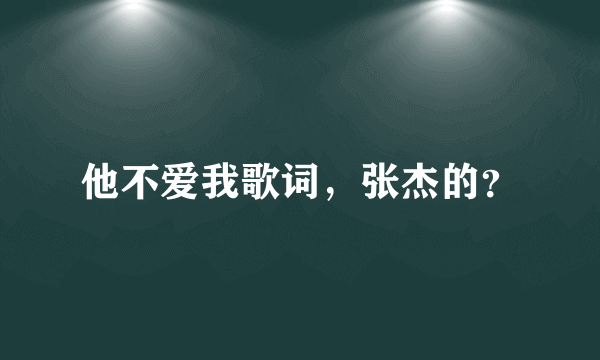 他不爱我歌词，张杰的？