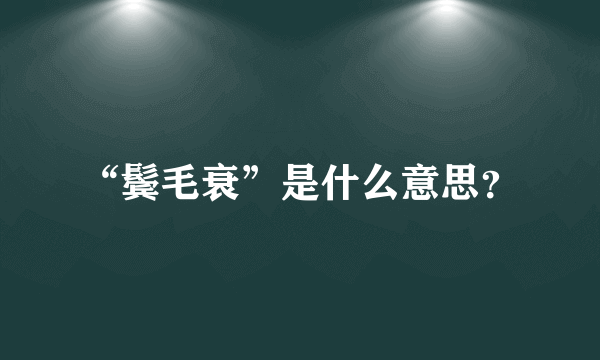 “鬓毛衰”是什么意思？