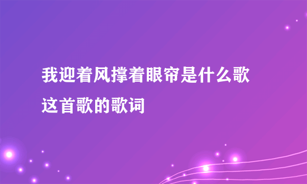 我迎着风撑着眼帘是什么歌 这首歌的歌词