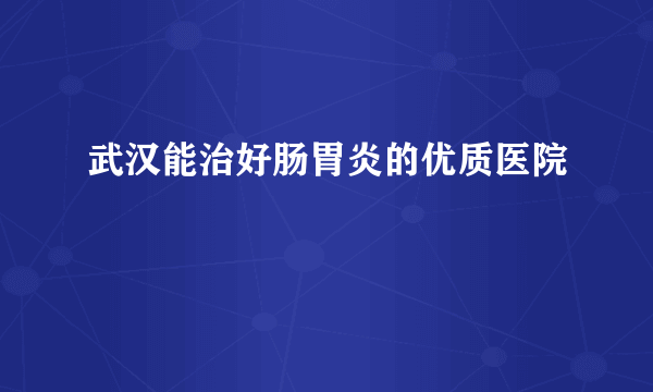 武汉能治好肠胃炎的优质医院