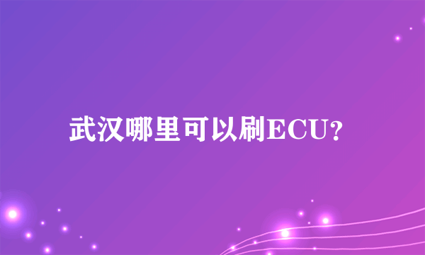 武汉哪里可以刷ECU？