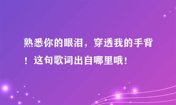 熟悉你的眼泪，穿透我的手背！这句歌词出自哪里哦！