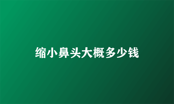 缩小鼻头大概多少钱