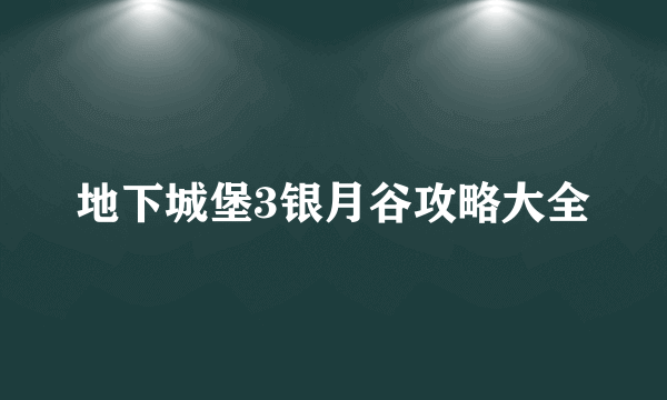 地下城堡3银月谷攻略大全