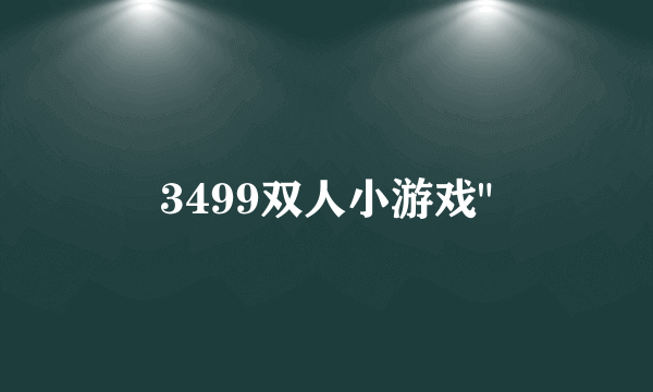 3499双人小游戏
